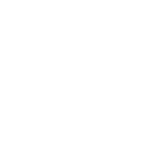 Año Lectivo Práctico